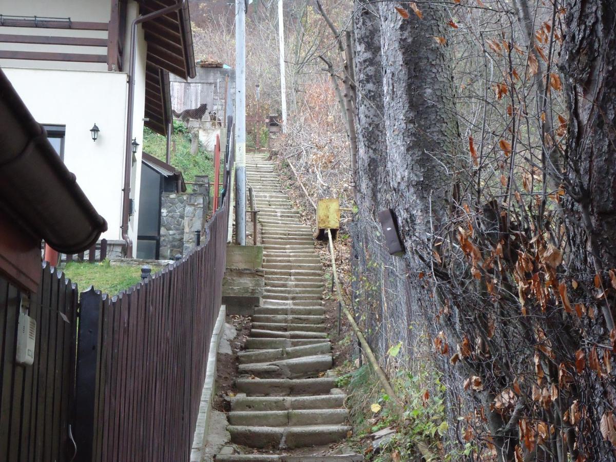 Casa Serban Villa Sinaia Eksteriør billede