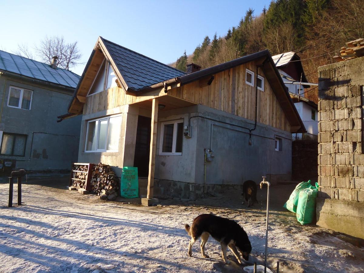 Casa Serban Villa Sinaia Eksteriør billede