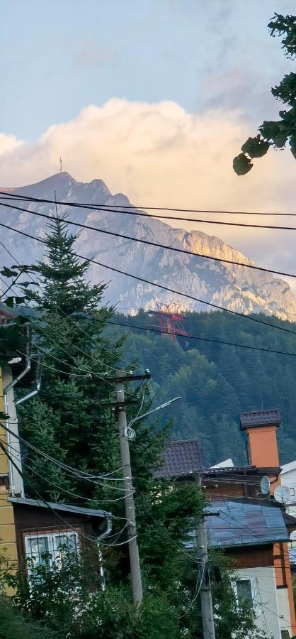 Casa Serban Villa Sinaia Eksteriør billede