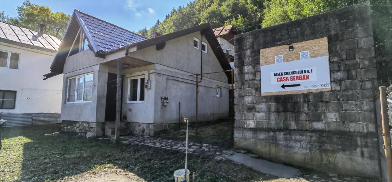 Casa Serban Villa Sinaia Eksteriør billede