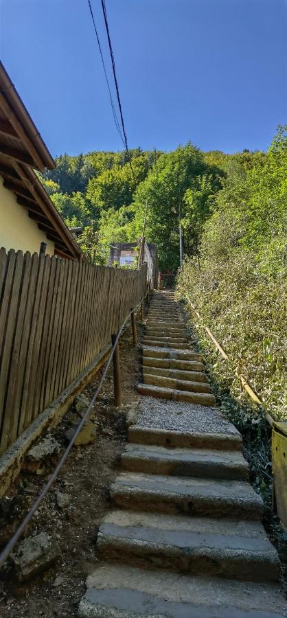 Casa Serban Villa Sinaia Eksteriør billede