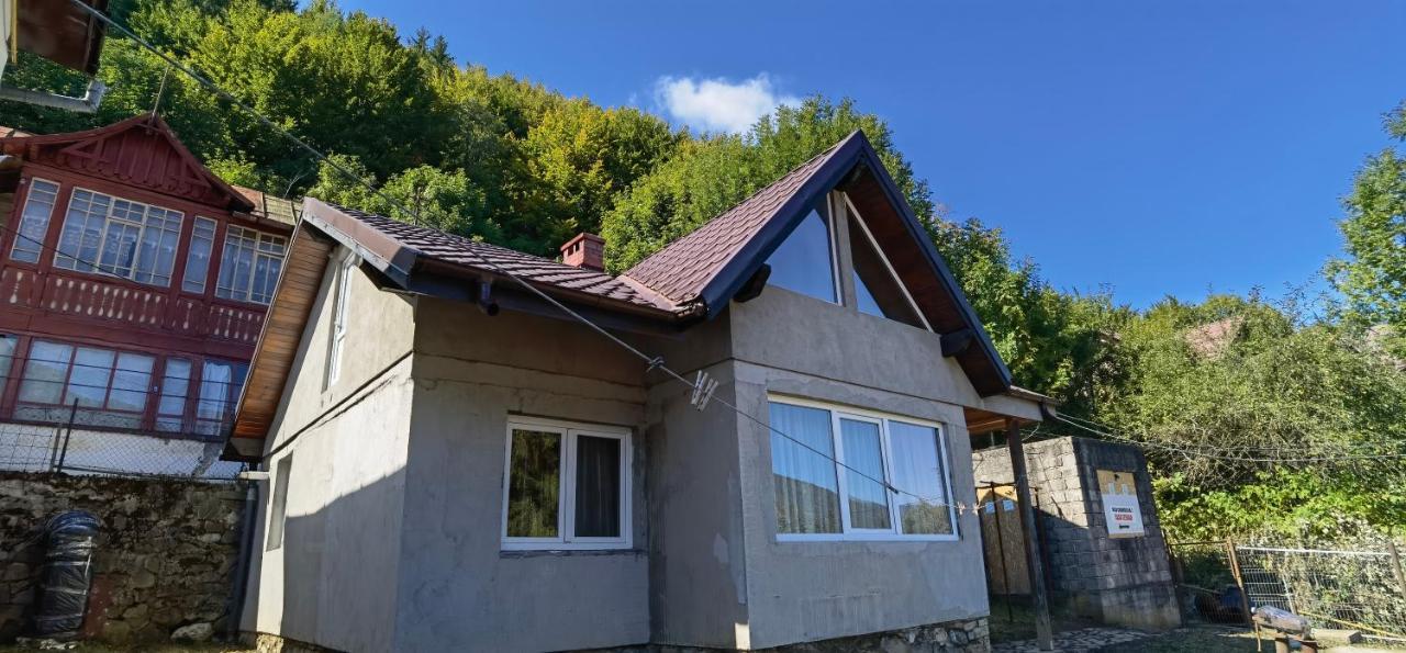 Casa Serban Villa Sinaia Eksteriør billede